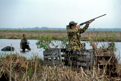 Duck Hunter Shooting From A Duck Blind