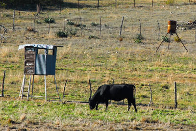 Old blind and feeder