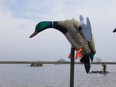 Battery powered duck decoy