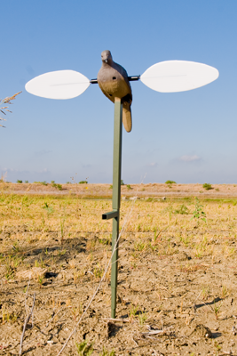 Robo dove decoy