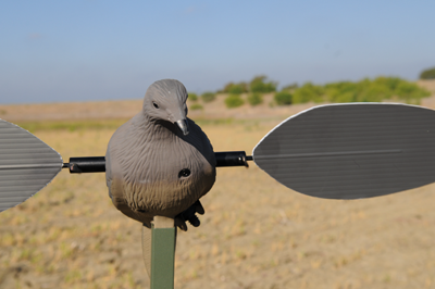 Closeup of Robo Dove decoy