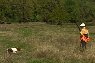 Quail hunter with dog