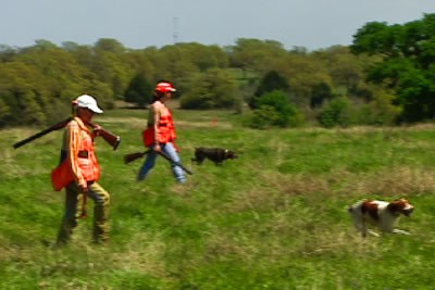 Quail hunters with dog