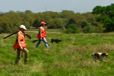 Quail hunters with dog