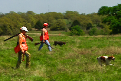 Hunters in field with bird dogs