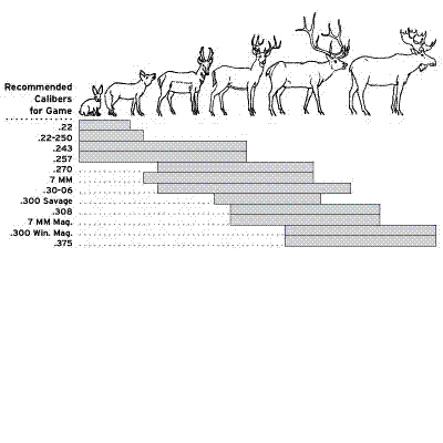 Recommended Calibers for Game