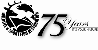 WSFR 75th logo