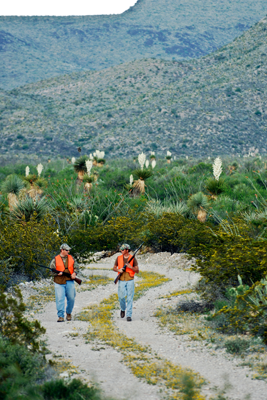 Hunters in orange at Black Gap