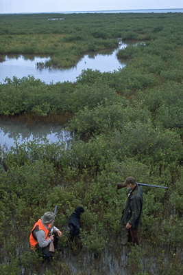 Hunters in swampy wetlands