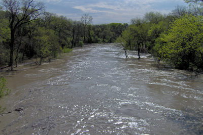 Flooded creek