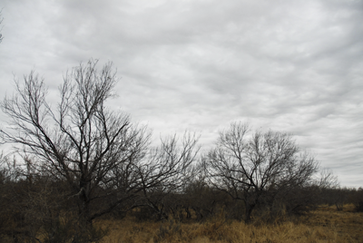 Cloudy sky