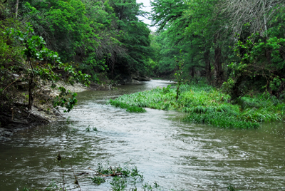 rain-filled creek