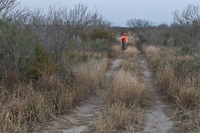 hunter orange seen from across a field