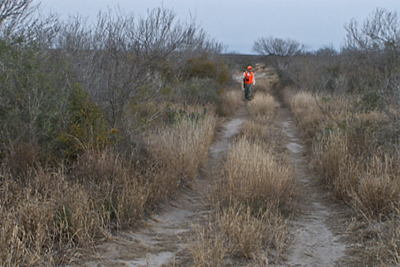 hunter orange seen from across a field