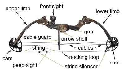 diagram of compound bow