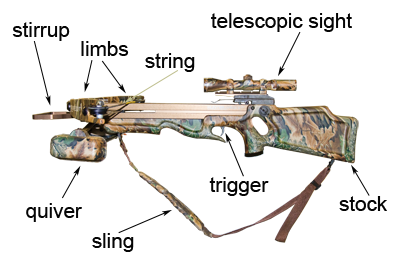 diagram of a crossbow