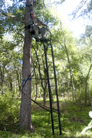 hunter in tree blind