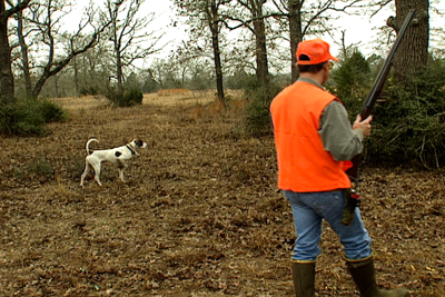 hunter with dog pointing