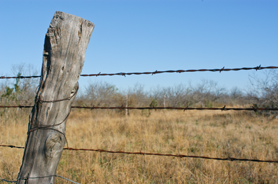 barbed wire fence