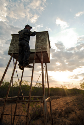 hunter climbing into elevated blind