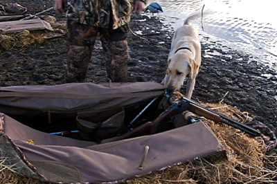 hunting dog with hunter and guns