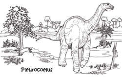 pleurocoelus250.gif pleurocoelus250.gif
