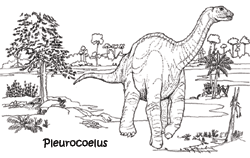 pleurocoelus250.gif