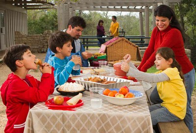 Picnicking in the Parks