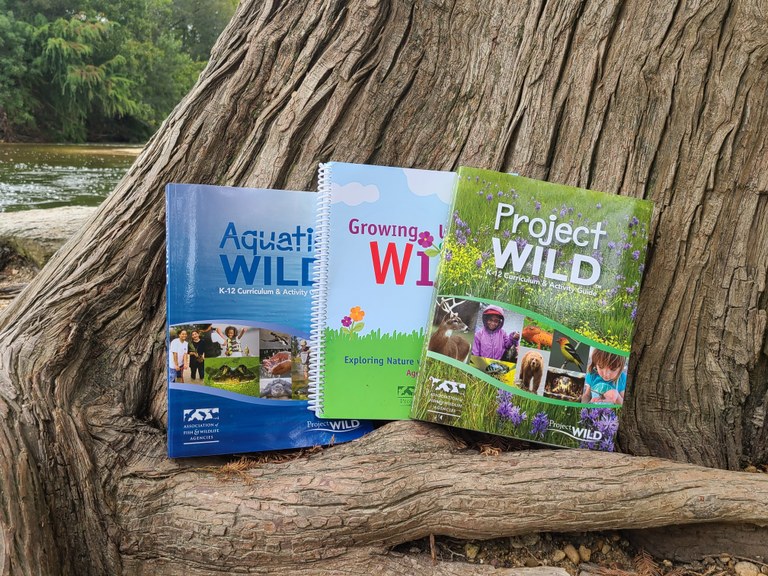 photo of books leaning against a tree