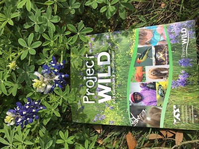 New PW book in Bluebonnets.JPG