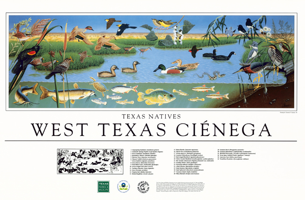 West Texas Cienega Poster