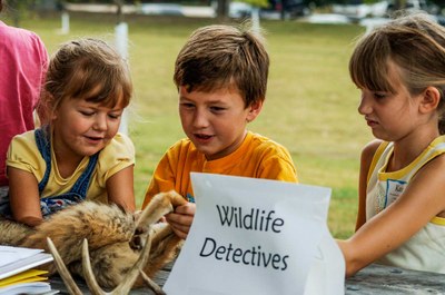 Three young kids looking at a fur with a sign in front that says "Wildlife Detectives."