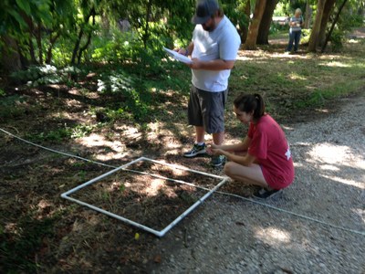 Teachers using a line transect