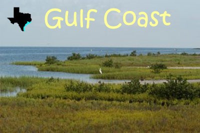 gulf landform project
