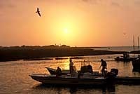 gulfcoast_sunset200.jpg gulfcoast_sunset200.jpg