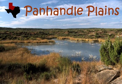 panhandle_plains.jpg