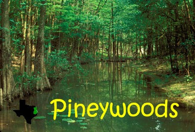 East Texas News - Pineywoods Region Week of October 5, 2022