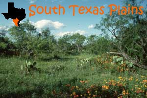 SOUTH TEXAS PLAINS REGION: LAREDO TEXAS MAP