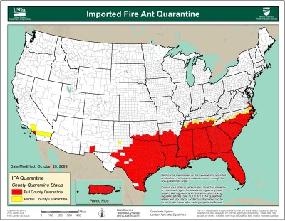 Imported Fire Ants