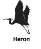 heron