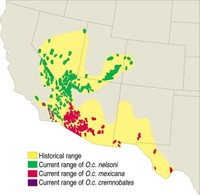 Map where Bighorns travel