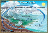 Water Cycle Summary