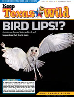 Cover-Birdlips