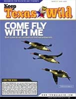 Cover-Come Fly With Me