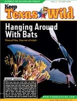 Cover-Hanging Around with Bats