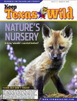 Cover-Nature's Nursery
