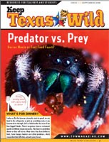 Cover-Predators