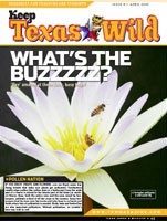 Cover-What's the Buzzzz
