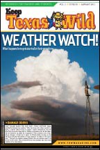 Cover_Weather_Watch