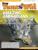 Cover-Amazing Amphibians